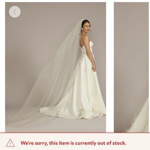 Delicate scattered crystal cathedral veil